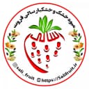 میوه خشک و خشکبار سالی فروت